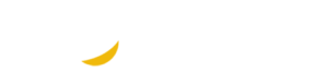 bscscanlogo